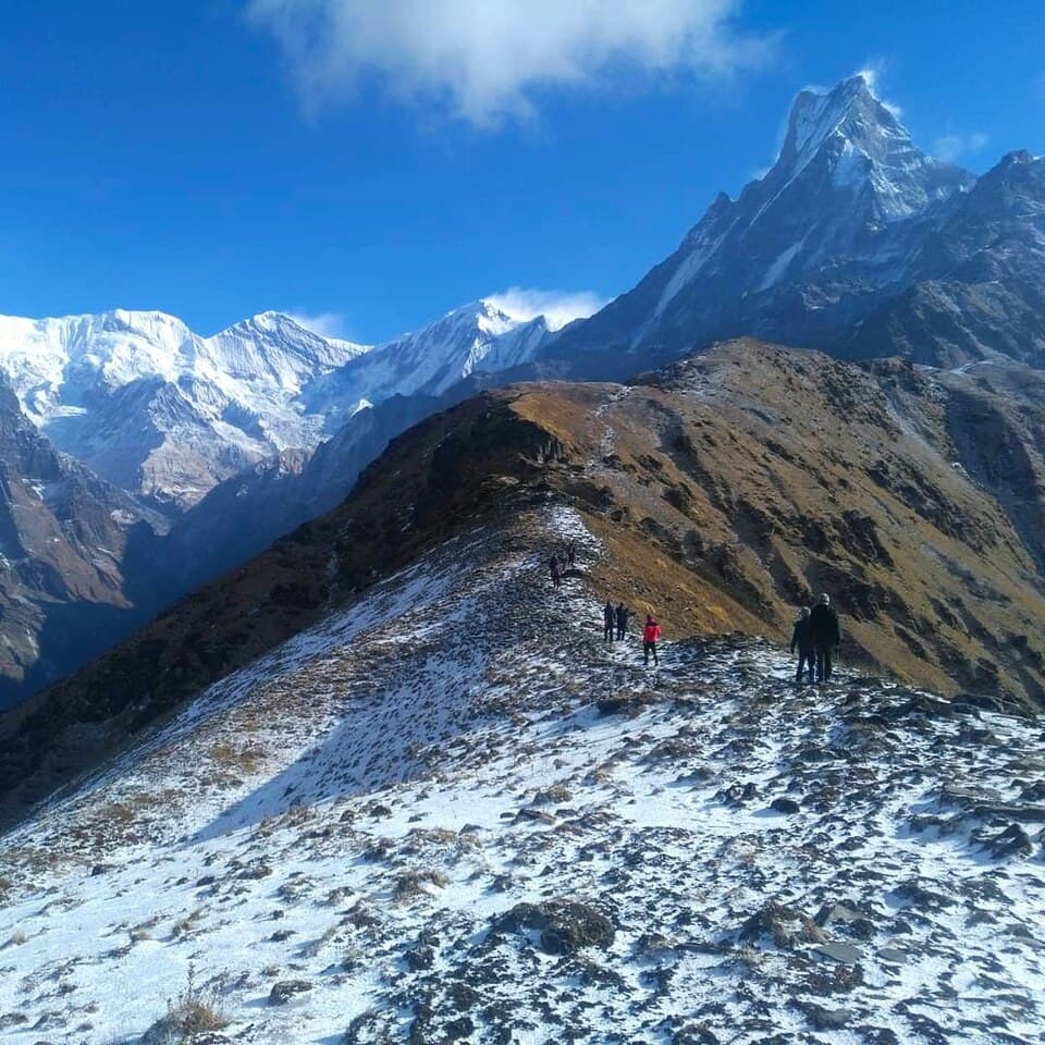 Hi Nepal Travels & Treks Pvt. Ltd.