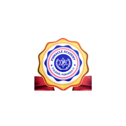 Pinnacle academy - Launch Bunch